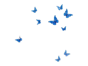 Exquisite Butterflies Adorn This Stunning Laptop Wallpaper