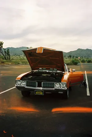 Exquisite Iphone Photography - An Artful Perspective Captured On Tumblr Wallpaper