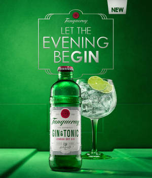 Exquisite Tanqueray Gin And Tonic - A Perfect Serve Wallpaper