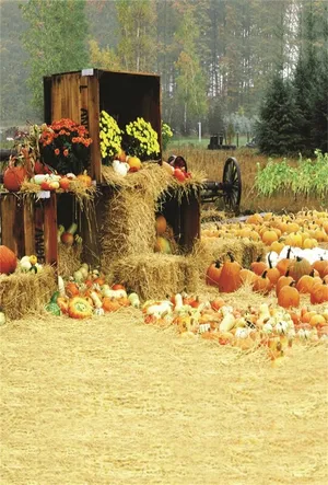 Fall Farm Pumpkin House Wallpaper
