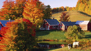 Fall Farm Red Houses Orange Trees Wallpaper