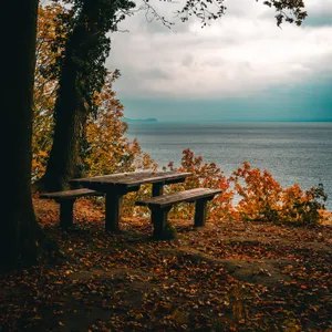 Fall Ipad Picnic Table Forest Wallpaper