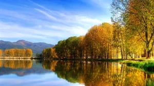 Fall Lake With Trees And Mountain Landscape Wallpaper