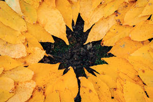 Fall Leaves Art Wallpaper