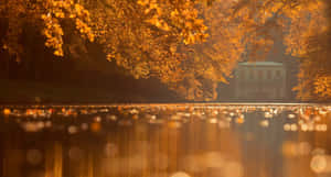Fall Scenes Lake Reflecting Trees Wallpaper
