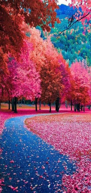 Fall Season Mobile Wallpaper