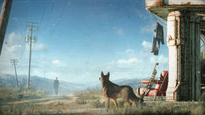 Fallout 4 4k Dog Looking At Man Wallpaper