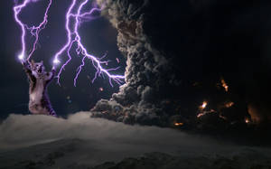 Fan Art Cat's Lightning Wallpaper