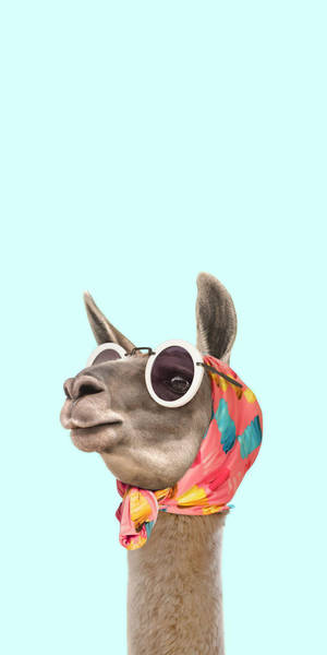 Fancy Luxurious Llama Wallpaper