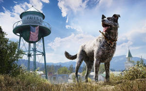 Far Cry Five Boomer Dog Wallpaper