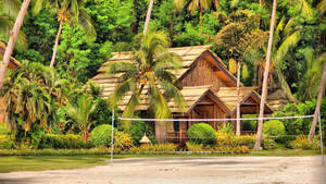 Farm Beach Resort In Philippines Wallpaper