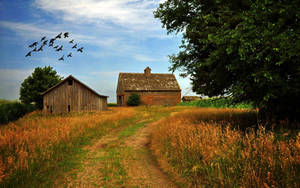 Farmhouse With A Small Barn Wallpaper