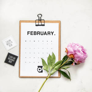 February Calendar With Pink Rose Wallpaper