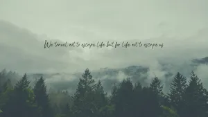 Feel Empowered With The Sleek Sage Green Laptop Wallpaper