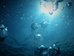 Feel Refreshed By Bubbly Water Wallpaper