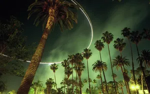 Feel Relax With The View Of A Palm Tree Against An Ocean Backdrop Wallpaper