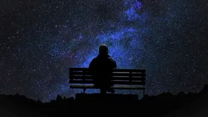 Feeling Alone On Bench Wallpaper