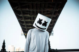 Feeling The Groove Of Life Under The Bridge With Marshmello Wallpaper