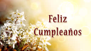 Feliz Cumpleanos Floral Greeting Wallpaper