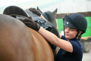 Female Equestrian Fixing Her Saddle Wallpaper