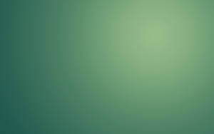 Fern-shaded Plain Green Wallpaper