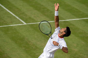 Fernando Verdasco At Wimbledon Wallpaper