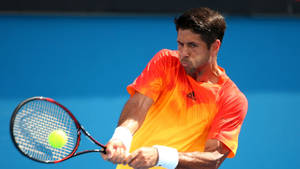 Fernando Verdasco Exertion Wallpaper