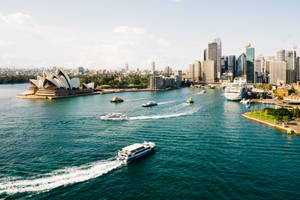 Ferries At Sydney Australia Wallpaper
