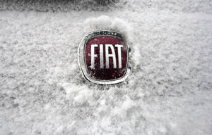 Fiat Car Logo Wallpaper
