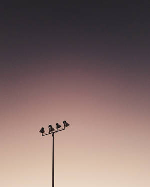 Field Lights Ombre Sky Wallpaper