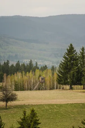 Field Tree House Wallpaper