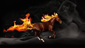 Fiery Brown Running Horse Wallpaper