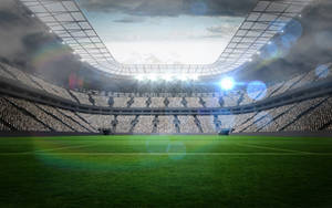 Fifa World Cup Sports Arena Wallpaper