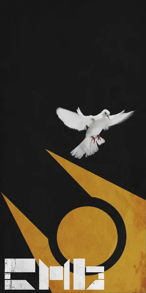 Fight Your Way To Victory In The World Of Half Life 2. Wallpaper