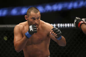 Fighting Martial Artist Dan Henderson Wallpaper