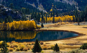 Find Bliss In The Beauty Of Autumn With A Hike In The Mountains Wallpaper