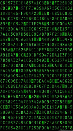 Find Clues In The Matrix Wallpaper