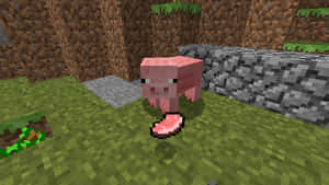Find Fun In The Far Realms Of Minecraft With A Pig Wallpaper