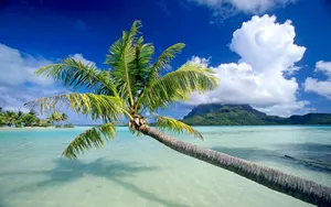 Find Peace In Nature Wallpaper