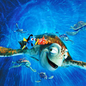 Finding Nemo Crush Marlin And Dory Wallpaper