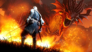 Fire Dragon In Burning Field Wallpaper