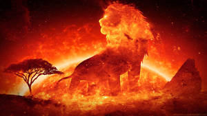 Fire Lion With Sun Backdrop Wallpaper