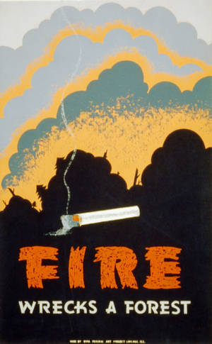 Fire Wrecks A Forest Graphic Wallpaper