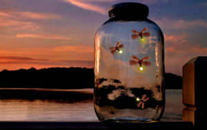 Firefly Hd Inside Jar Wallpaper