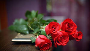 Five Red Rose Flowers Wallpaper