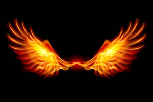 Flaming Phoenix Wings Hd Wallpaper