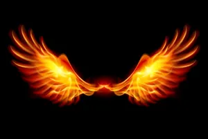 Flaming Phoenix Wings Hd Wallpaper