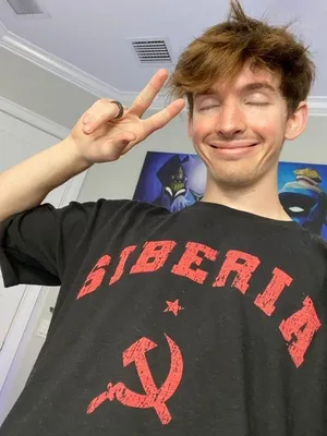 Flamingo Albert Making A Splash In Its Natural Habitat Wallpaper