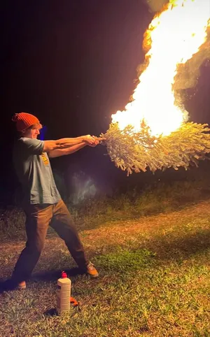 Flamingo Albert Says ‘you Can Flock Together And Still Be Unique’ Wallpaper