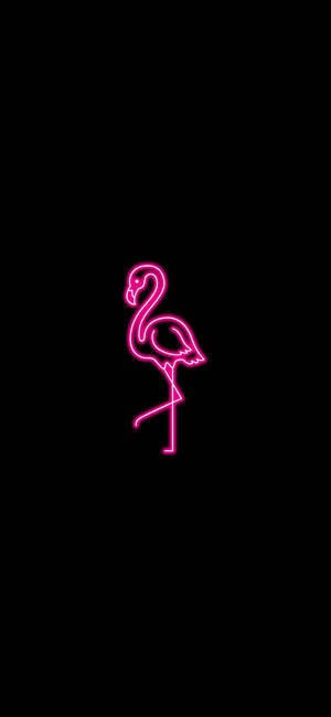 Flamingo Pink Neon Aesthetic Wallpaper